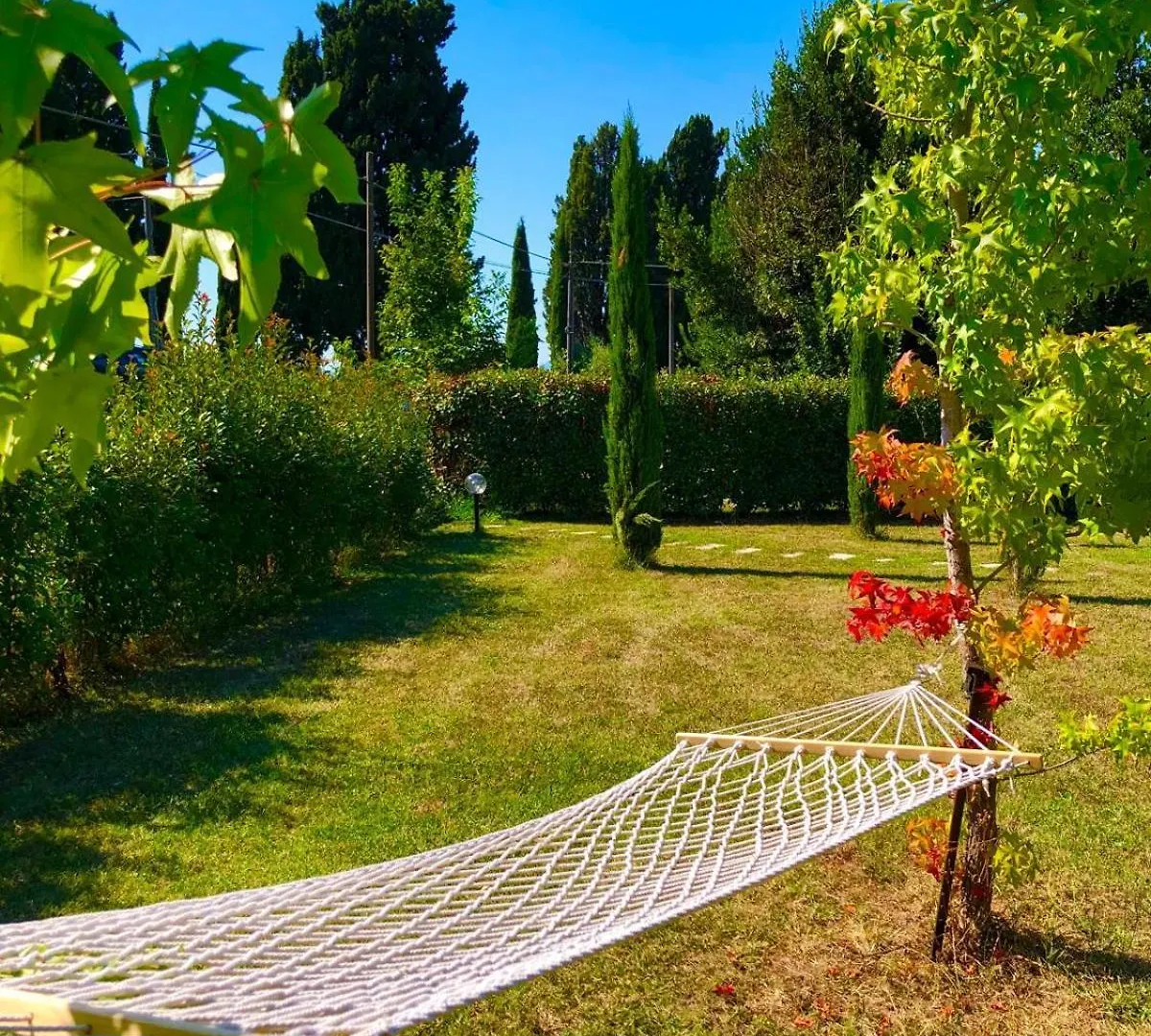 Intero Alloggio Campagna Lucca Capannori